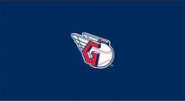 MLB Pool Table Felt - Image 38