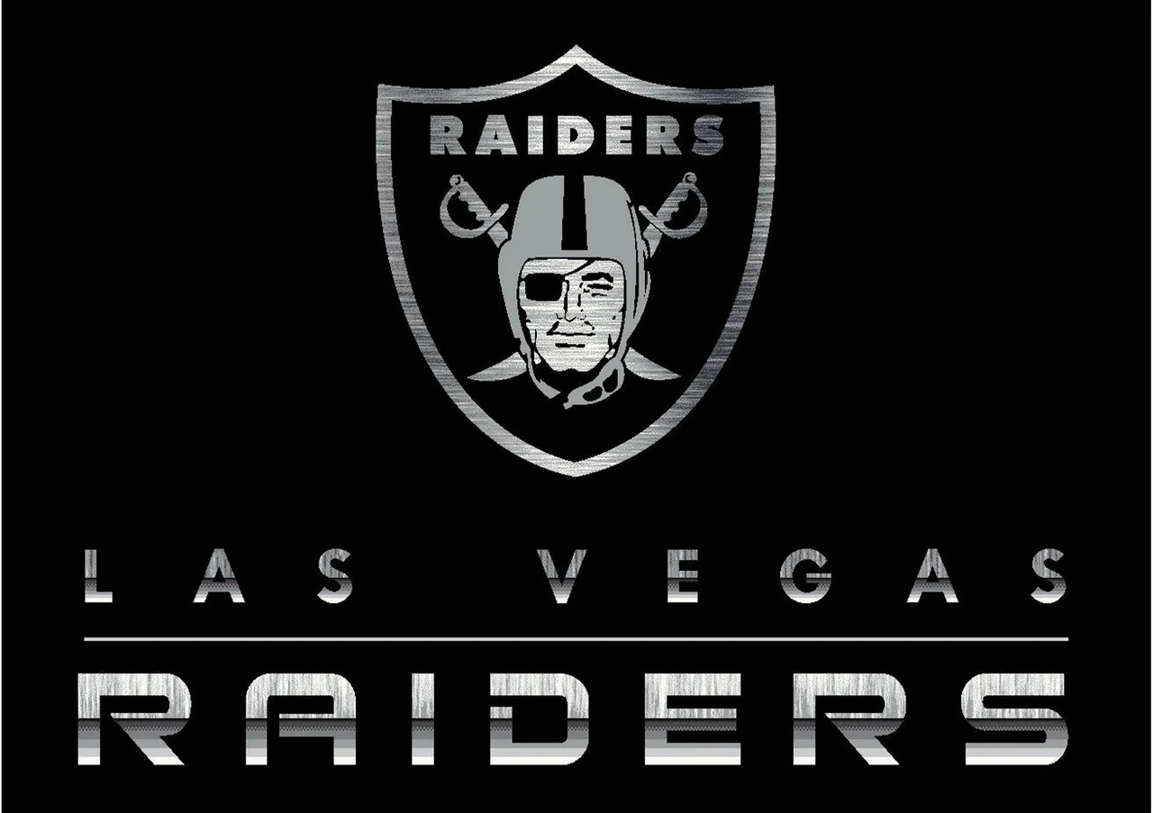 NFL Fan's Choice Chrome Rug - Image 4